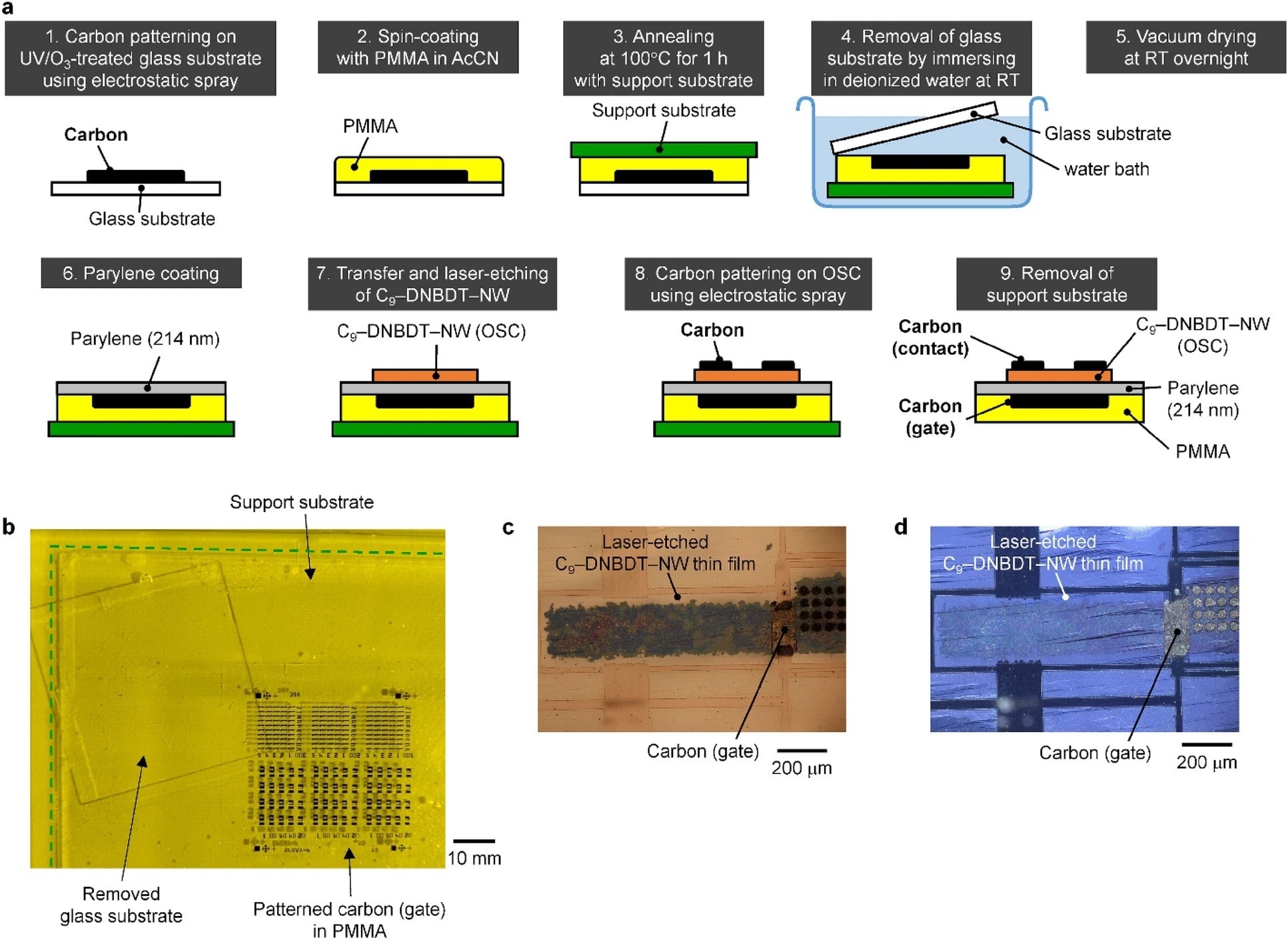Fabrication of metal-free OTFTs. (a) Sequential fabrication procedure of a metal-free OTFT composed of C9–DNBDT–NW as the OSC, carbon as the contact and gate electrodes, parylene as the hydrocarbon polymeric insulator, and PMMA as the substrate. (b) Photo of a patterned carbon/PMMA film being removed from a glass substrate in a water bath. (c, d) POM images of a C9–DNBDT–NW thin film transferred onto a parylene/carbon/PMMA film and then laser-etched. Observed under (c) open-Nicol and (d) cross-Nicol conditions, respectively.