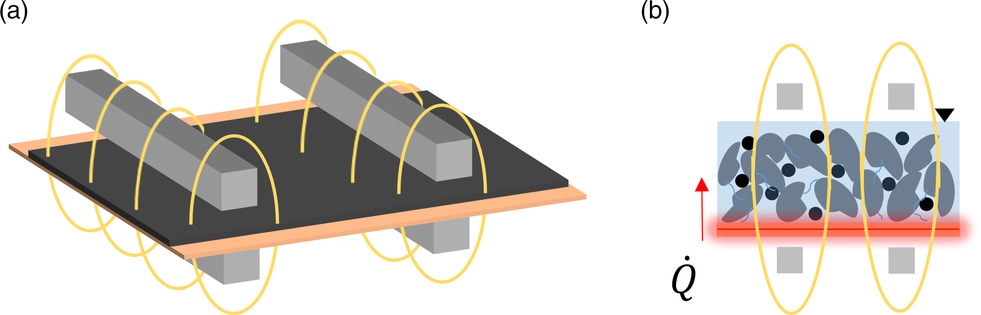 Induction drying: a) induction coils generate an alternating electromagnetic field, b) which heats the current collector foil via inducing “eddy currents” in the material. The heat is transferred into the coating via heat conduction.