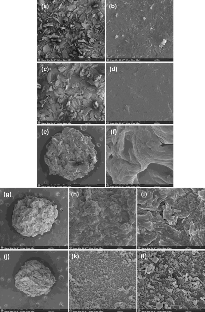 FESEM-FIB images of surface morphology of (a, b) chitosan standard, (c, d) chitosan powder (CP), (e, f) chitosan beads (CB), (g, h, i) chitosan beads mixed ZnO (CZB), and (j, k, l) chitosan beads coated ZnO (ZCB).
