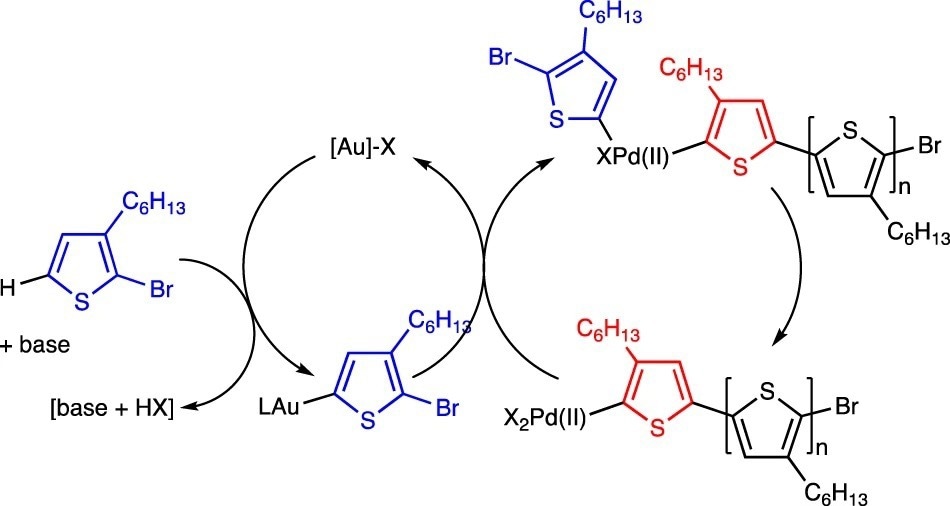 Ideal mechanism for an Au/Pd-mediated CTP.