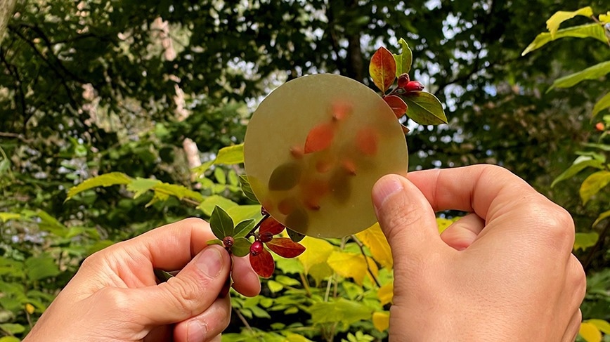 Developing Building Supplies from Wood-Based Plastic