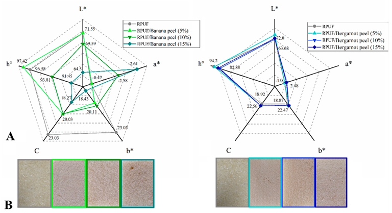 Colorimetric properties (A) and photographs (B) of the studied RPUF with Banana peels (A) and Bergamot peels (B). RPUF is the neat rigid polyurethane foam and filler type, and filler content is the numbers after the bars and between parentheses, respectively. Where: L* is brightness; a* is green-red coordinate; b* is blue-yellow coordinate; C is chroma; h° is hue angle.