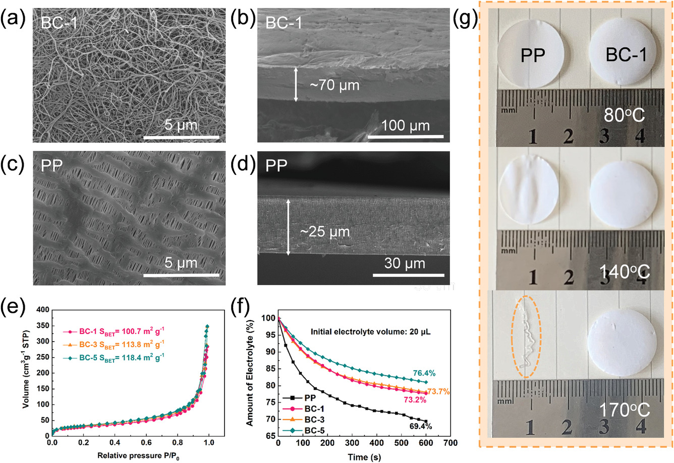 SEM images of the surface and cross-section of the BC-1 a,b) aerogel and c,d) PP separator. e) N2 adsorption–desorption isotherm of different BC aerogels. f) Electrolyte storage capacities of PP and BC separators. g) The thermal stabilities of different separators under different temperatures.