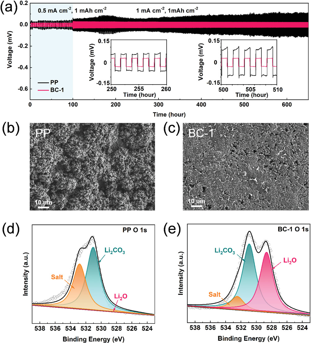 a) Voltage profiles of lithium symmetric cells with PP and BC-1. SEM images of cycled lithium anode surface (after 680 h) in symmetric cell with b) PP or c) BC-1. XPS spectrums of O 1s high-resolution of cycled lithium anode surface in symmetric cell with d) PP or e) BC-1.