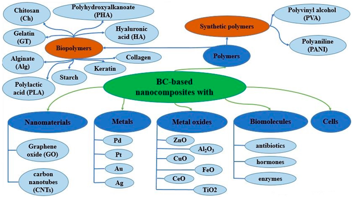 A generalized classification of BC composites prepared with various materials of organic and inorganic nature.