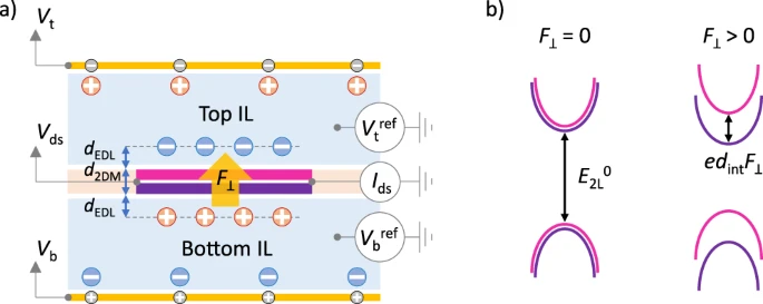 Dual ionic liquid gating