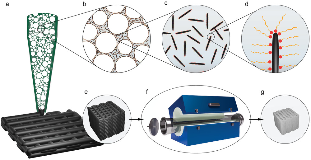 Schematic of the manufacturing process of iron-based hierarchical porous structures. a–d) Direct ink writing (a) of closed-pore, particle-stabilized wet foam (b) made by frothing a suspension of magnetite microrods (c) functionalized with a short-chain amphiphilic molecule (d). e) The as-printed structure is reduced and sintered in a tubular oven under f) constant H2 gas flow to g) an iron-based open porous structure.