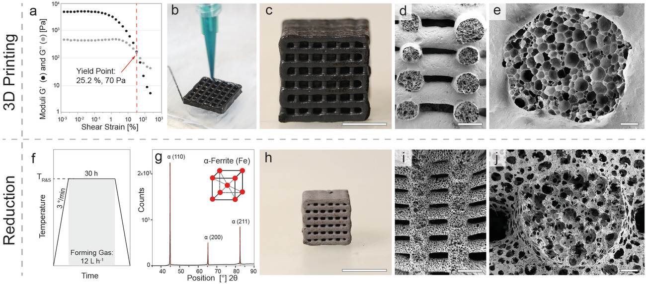 3D printing and reduction of foams to generate iron-based hierarchical porous structures. a) Strain-controlled oscillatory rheology performed to quantify the viscoelastic properties of the wet foam with optimum concentrations of surface modifier (3 µL g-1) and iron oxide particles (50 wt%). b) Direct ink writing of the stable foam using a desktop extrusion-based printer equipped with a syringe and nozzle size of 0.84 mm. c) Optical and d,e) SEM images of the printed stable foam after drying. f) Typical heating protocol used for the reduction and sintering of dried foams. In this representative example, the foam is treated at 850 °C for 30 h. g) XRD pattern of the fully reduced sample and its clear correlation with the diffraction peaks expected for a ferritic (a-Fe) atomic structure. h) Optical and i,j) SEM images of the reduced sample. Scale bars indicate 1 cm (c,h), 1 mm (d,i), and 100 µm (e,j).