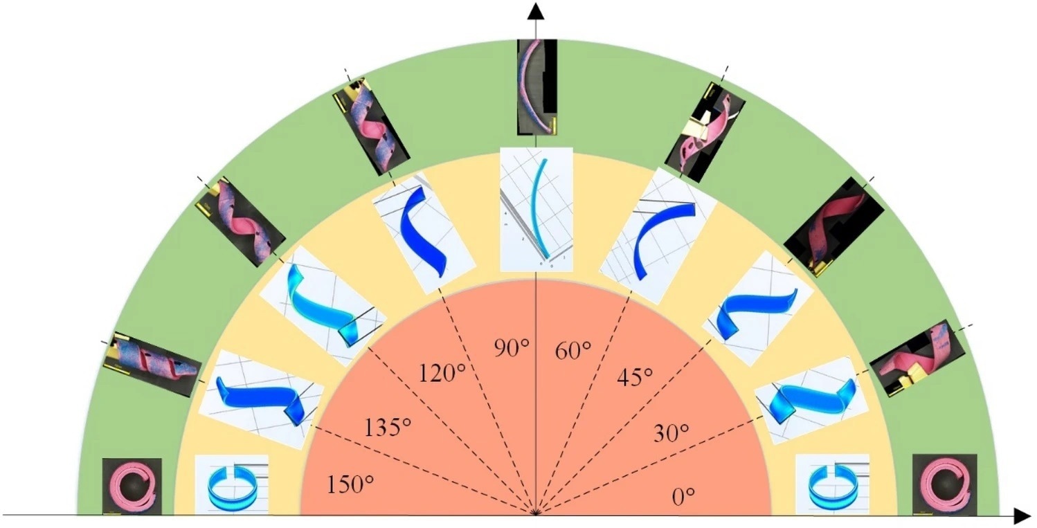 Simulation and experiment for different printing angles.