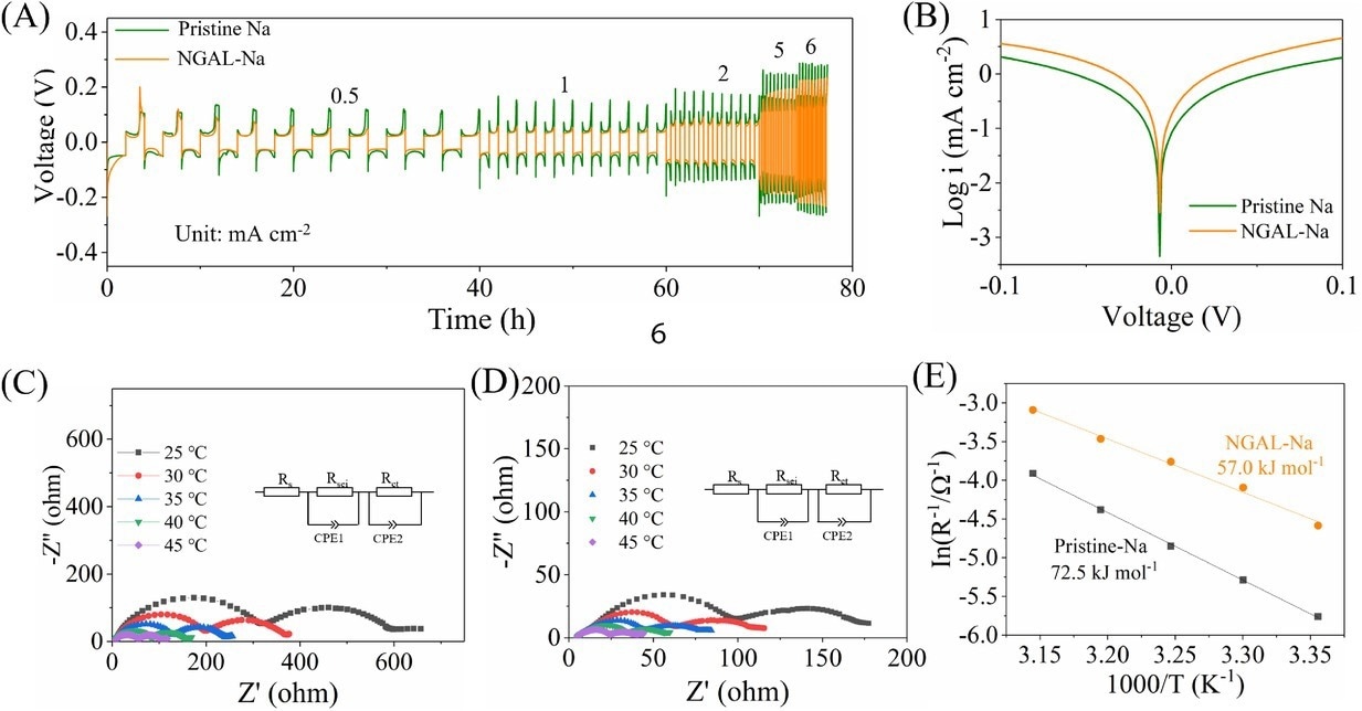 (A) Rate performance at current densities of 0.5–6 mA cm-2 (setting capacity: 1 mA h cm-2). (B) Tafel plots. Nyquist plot at various temperatures and equivalent circuit model for (C) bare Na and (D) Na–Ga alloy layer by rolling the metal Ga on Na metal (NGAL-Na). (E) Arrhenius behavior of symmetric Na||Na and NGAL-Na|| NGAL-Na cells.