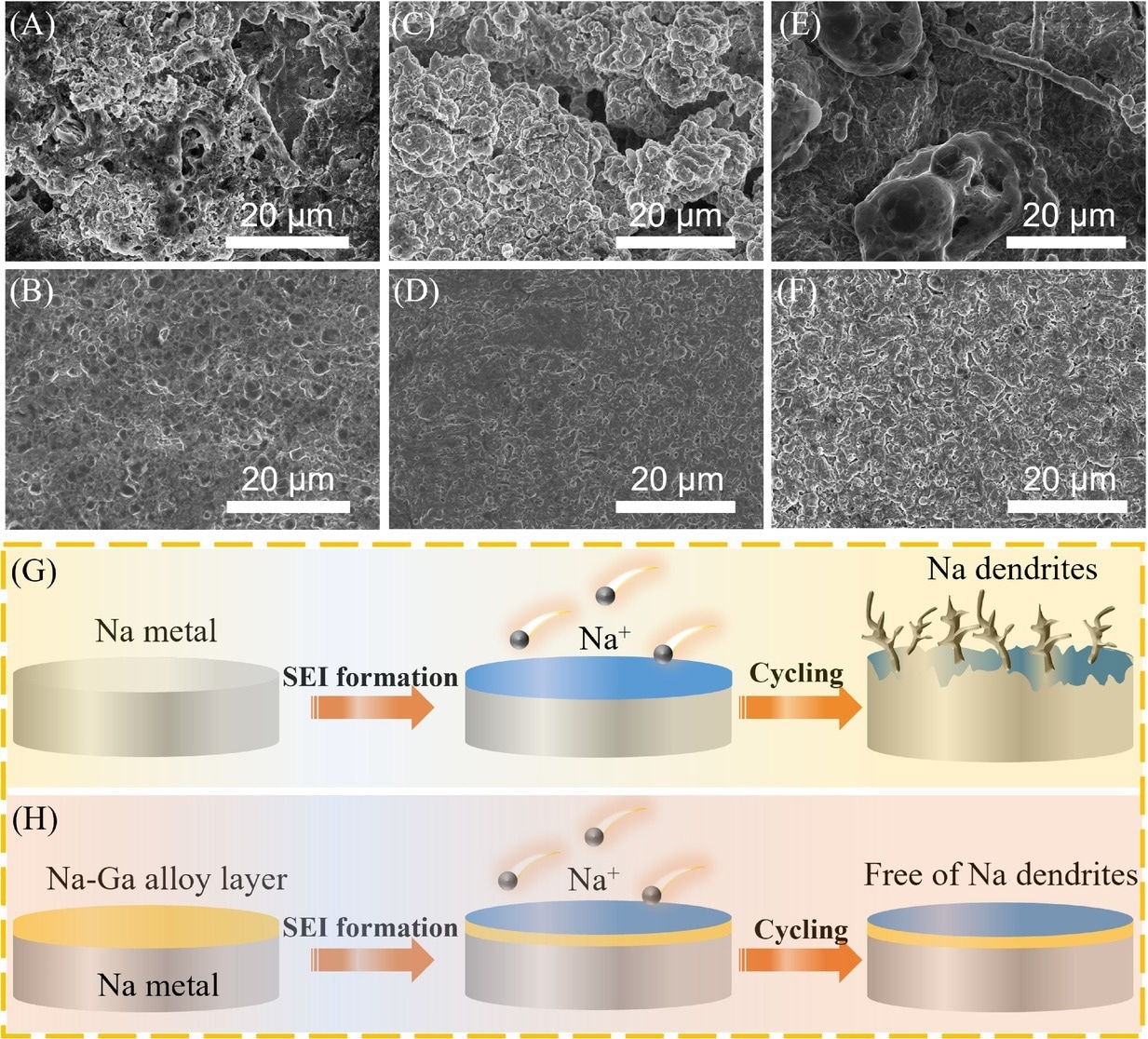 The postmortem scanning electron microscopy (SEM) images analysis for bare Na and Na–Ga alloy layer by rolling the metal Ga on Na metal (NGAL-Na) at 1 mA cm-2 with various plating/stripping capacities: (A and B) 1 mAh cm-2 after 10 cycles, (C and D) 3 mAh cm-2, and (E and F) 6 mAh cm-2 after five cycles. (G and H) Schematic illustrations of Na deposition behaviors of Na and NGAL-Na electrodes. SEI, solid electrolyte interphase.