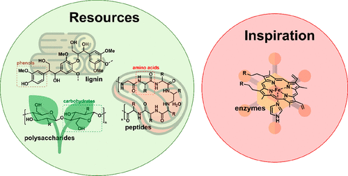 The Future of Nature-Inspired Electrocatalysis