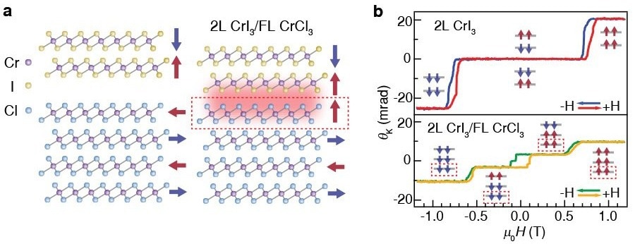 2D Antiferromagnet Heterostructures Show Interfacial Ferromagnetism.