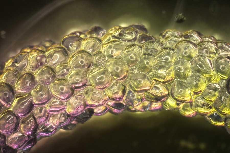 Framework for Designing Granular Hydrogels