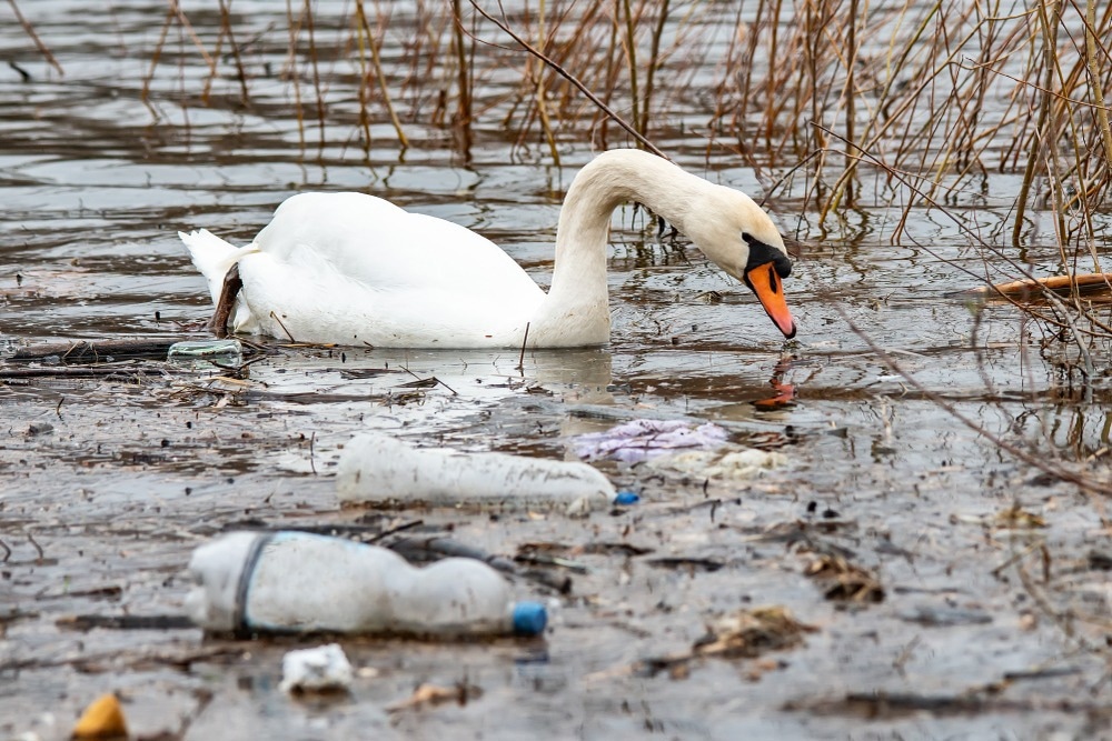 Collaborative Effort to Develop New Ways to Recycle Plastics