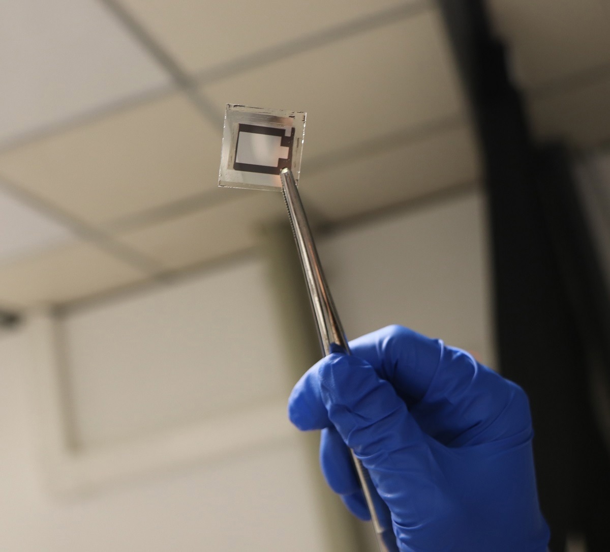 Modulating the Kinetics of Perovskite Film Growth with a Non-Volatile Additive