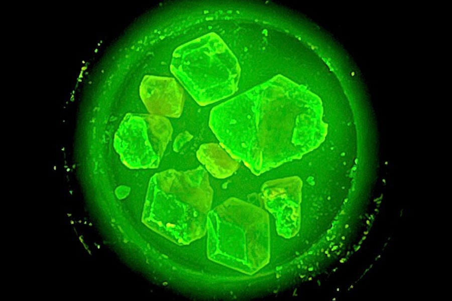 Radiation Detection and Imaging Boosted With New Hybrid Materials
