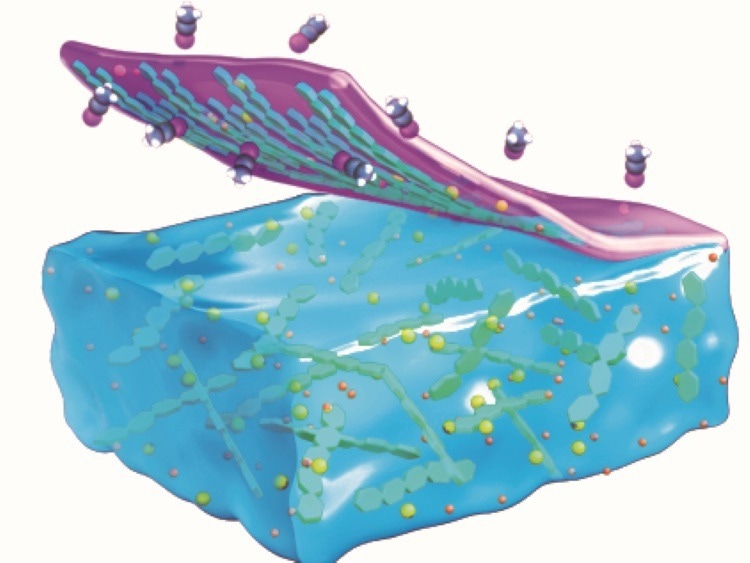 Scientists Find Inspiration in Milk to Make Conductive Gel Films