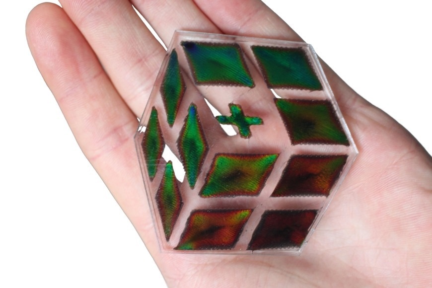 Colorful cellulose: The Empa logo 3D-printed from the new HPC mixture changes color when it gets warmer.
