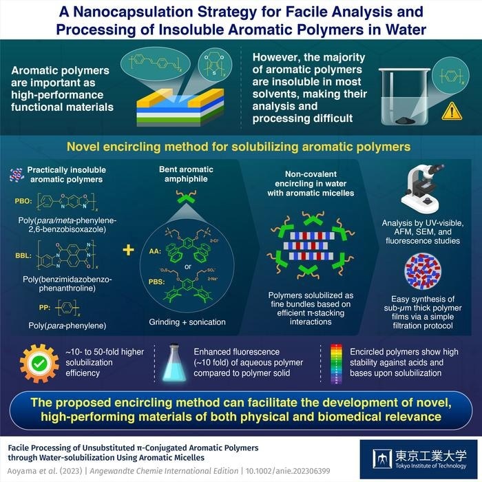 Novel Approach for the Analysis and Processing of Water-Insoluble Aromatic Polymers