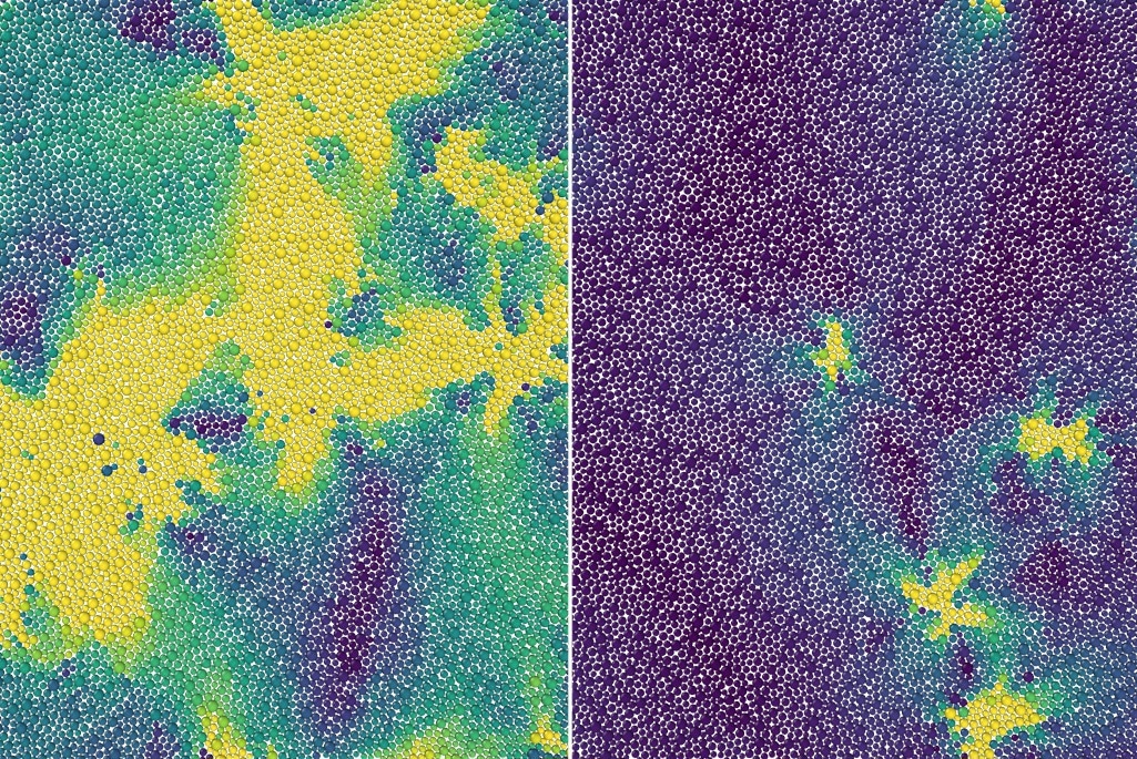 Microscopic Behavior of Glassy Materials Revealed