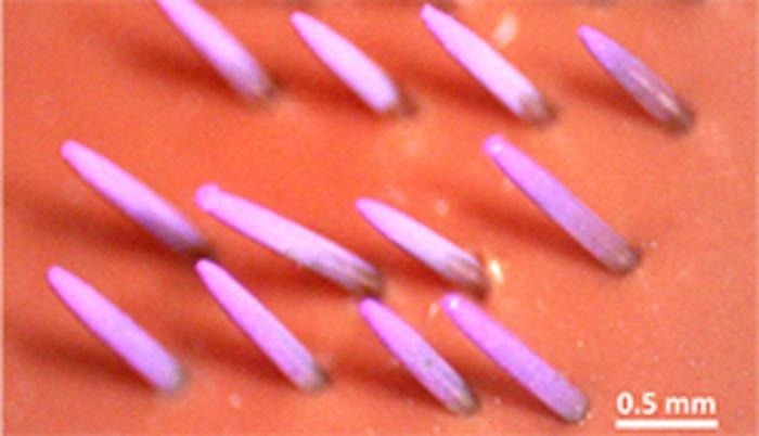 High-Efficiency Coating Technique for Biologically Active Materials