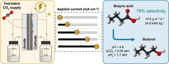 Transforming CO2 into Valuable Chemicals Through MES
