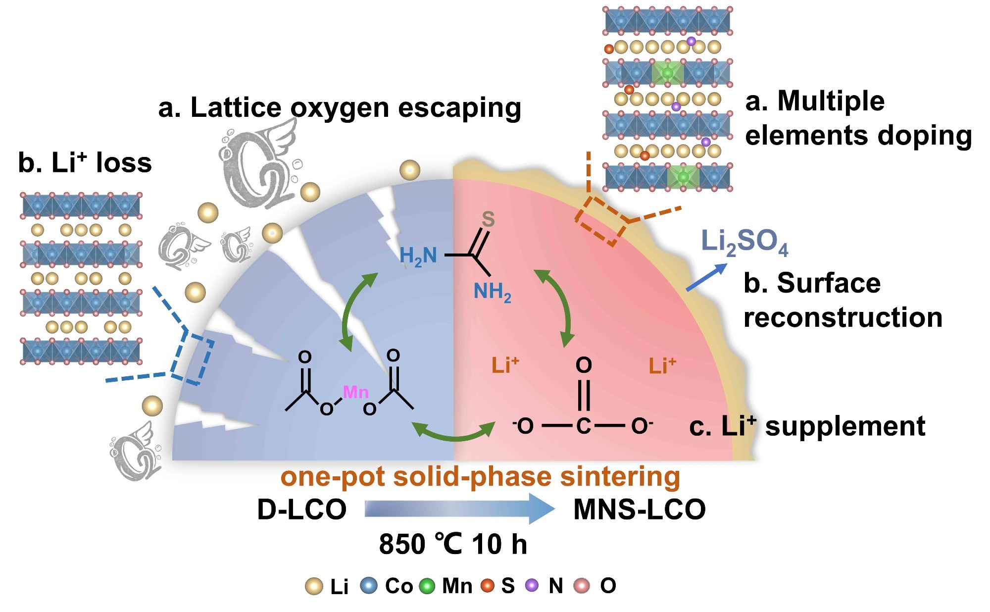 Simple and Non-Destructive Method Regenerates LiCoO2 into High-Energy Density Cathode