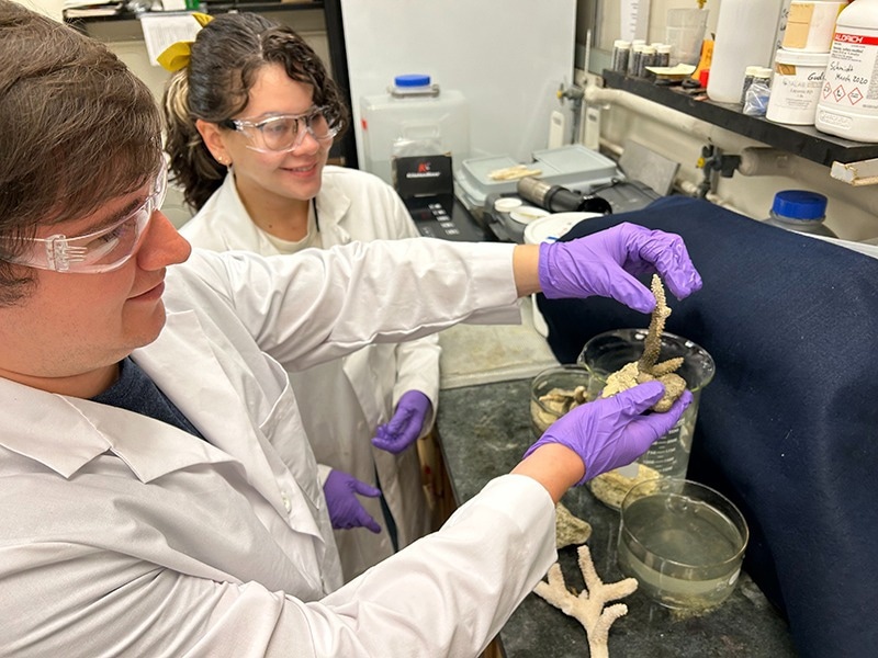 Developing Underwater Adhesives From Sustainable Materials