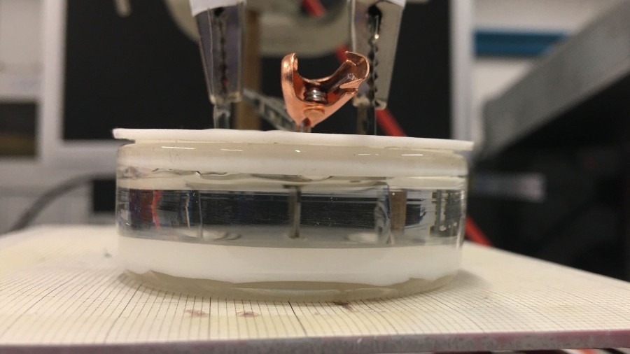 Bipolar Electrochemistry Enables Voltage Control of Magnetism in Wireless Magneto-Ionic Devices