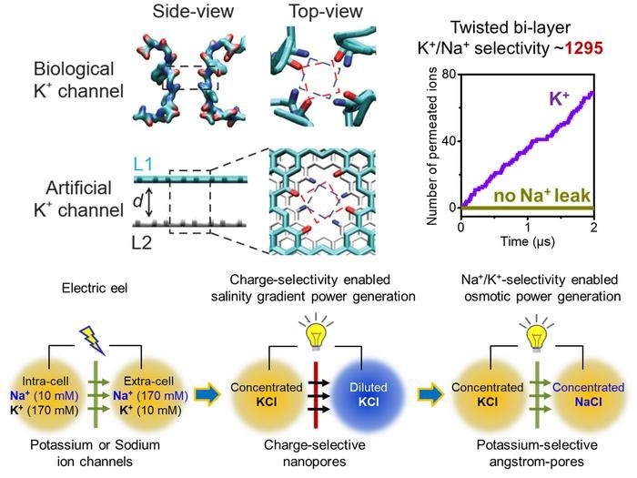 Electric-Eel-Mimetic Ionic Power Generation for the Future Generation