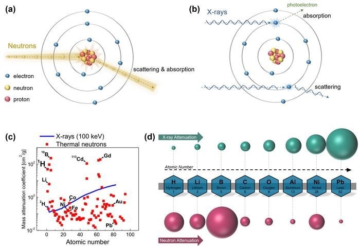 Neutron Imaging to See Different States of Matter in Lithium Batteries