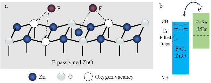 F-Passivated ZnO Optimization to Enhance the Electron Transport Layer
