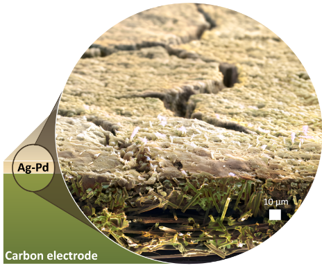 Developing Cost-Effective Catalyst for Hydrogen Fuel Cells