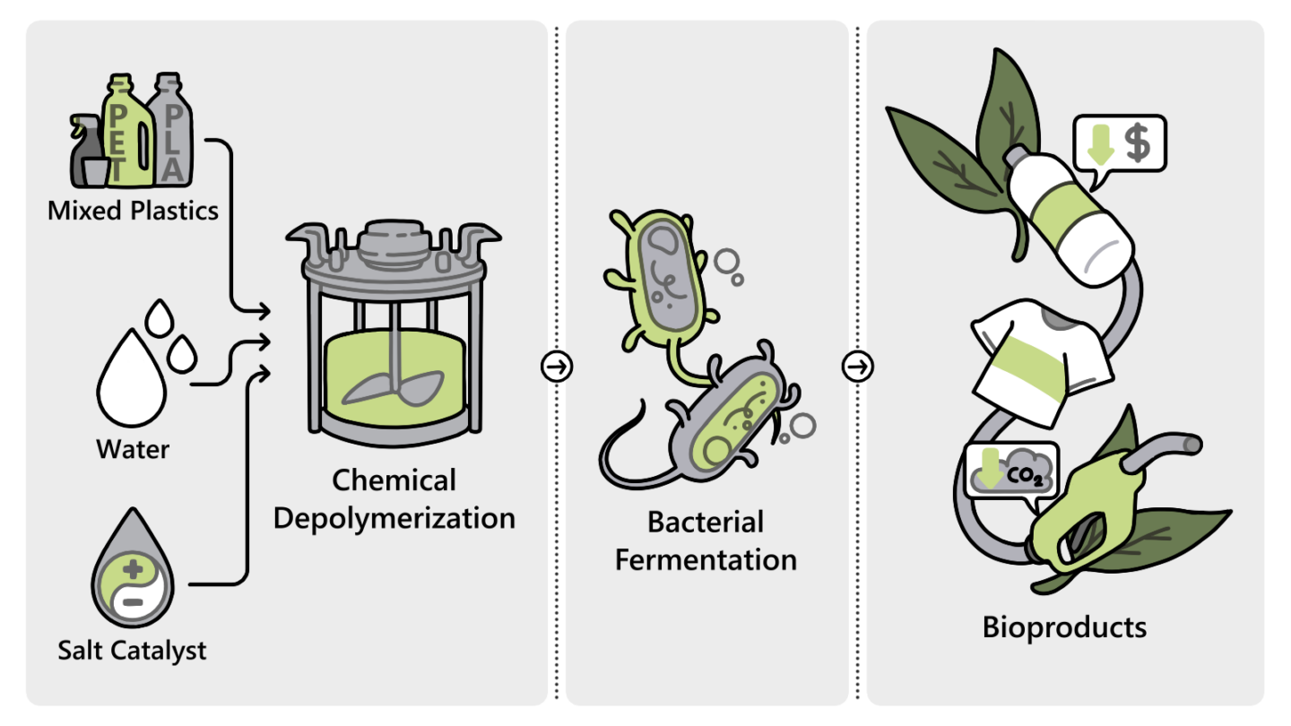 New Method Converts Mixed Plastics Into Biodegradable Polymers