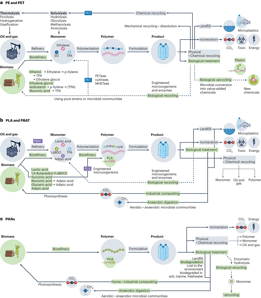 Sustainable Production and Degradation of Plastics Using Microbes