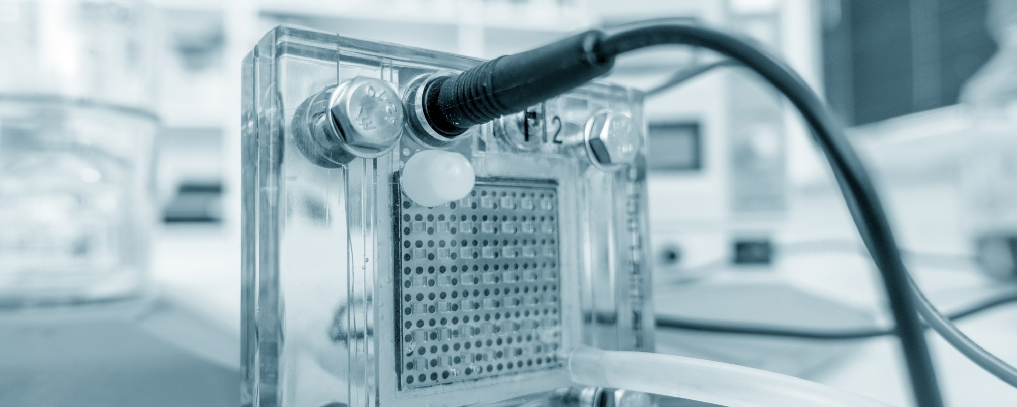 New Model for Optimizing Water Flow in PEM Fuel Cells