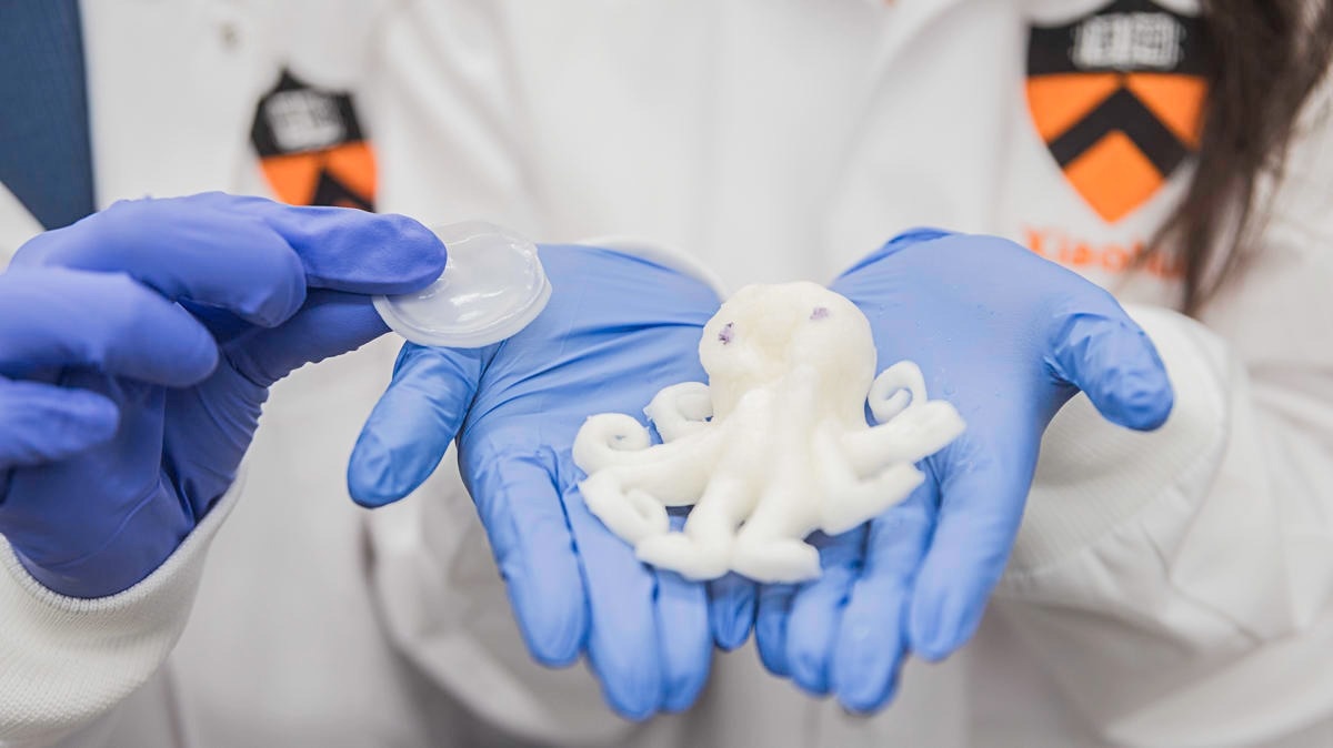Reusable and Recyclable Hydrogel That is Stable Enough for Practical Use