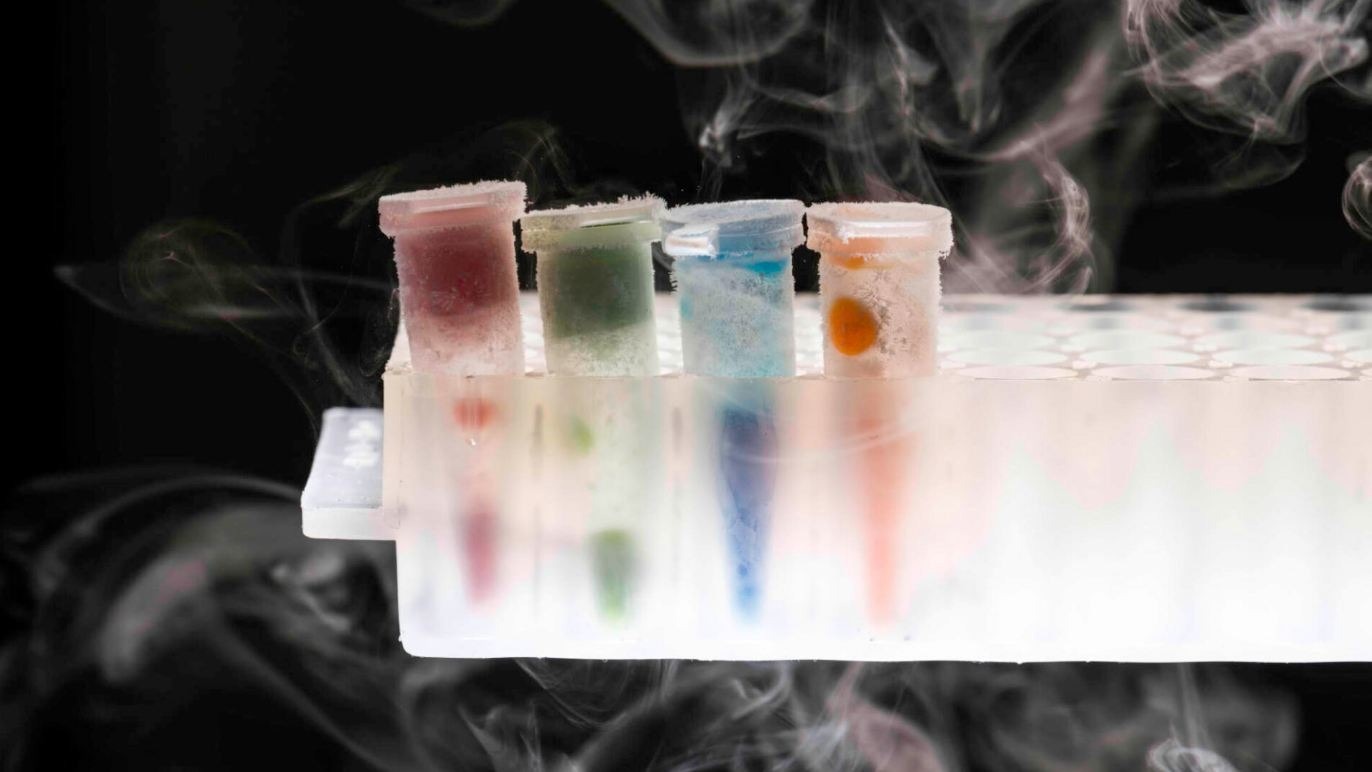3D-Printed Microbes Produce Plant-Based Chemicals