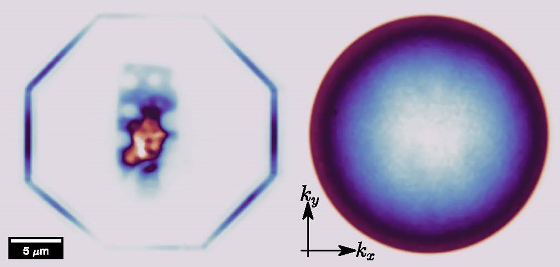Improved Spectroscopy of Encapsulated 2D Materials Using 2D Waveguides