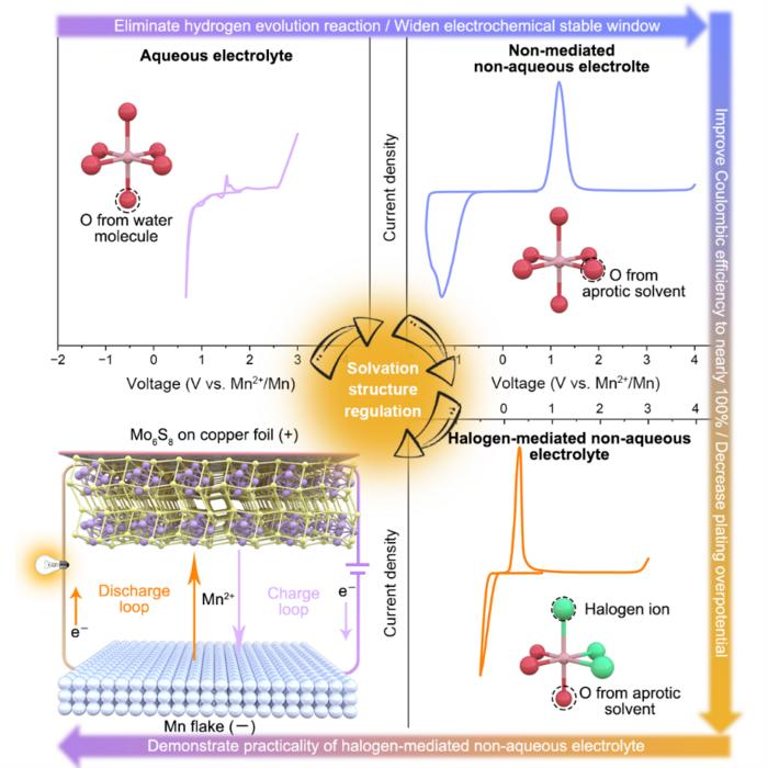 Halogen-Mediated Solvation Enhances Manganese Metal Performance