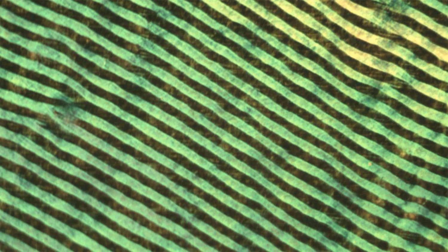 Investigating Spin and Chirality Interactions at Room Temperature Using Printed Polymer