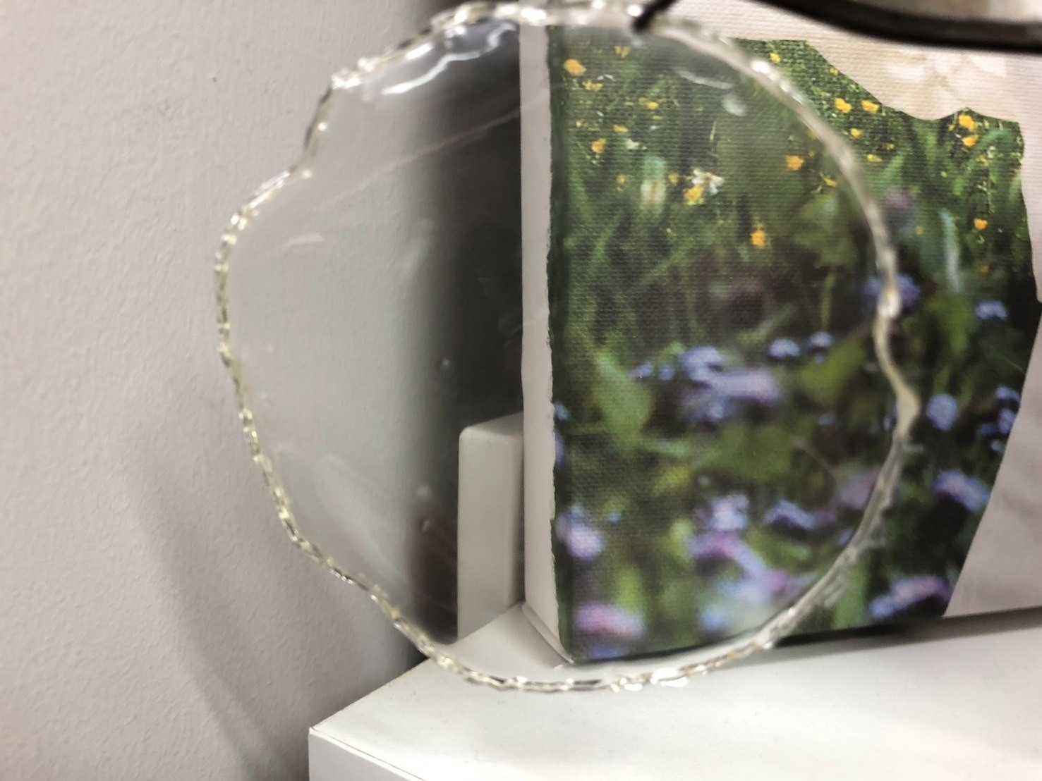 Stable and Recyclable Plastics Made from Plant Materials