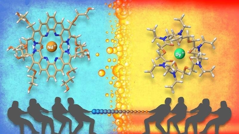 Tug of War Strategy for Separating Rare Earth Elements