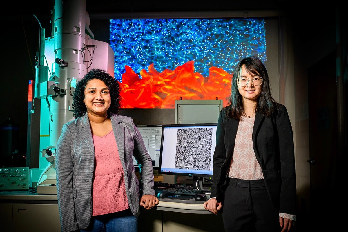 Importance of Nanoscale Empty Space in Everyday Materials