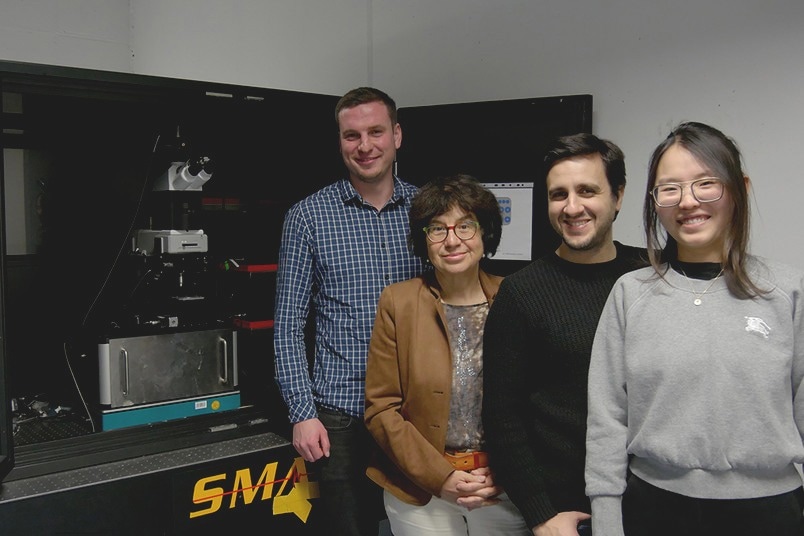 New Insights Guide Optimization of Electrochemical Processes