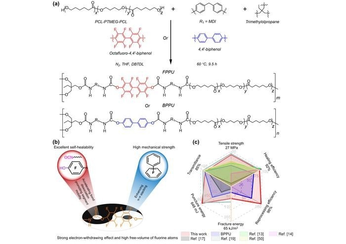 Unveiling the Potential of Fluorinated Phenolic Polyurethane Elastomers