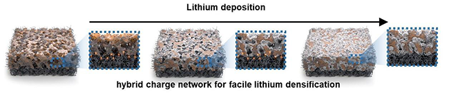 Schematic representation of the internal geometry of the hybrid structure after lithium electrodeposition