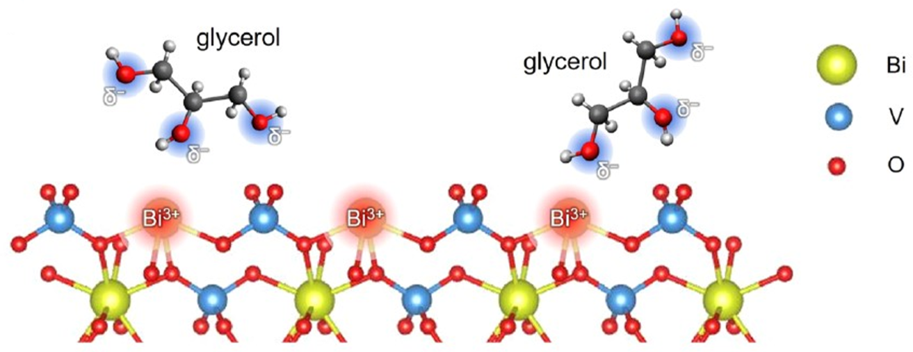 The glycerol’s hydroxyl groups are attracted to the Bi3+ ions on the surface of the BiVO4 photoanode. The electrolyte plays a decisive role in mediating these interactions. Image Credit: HZB