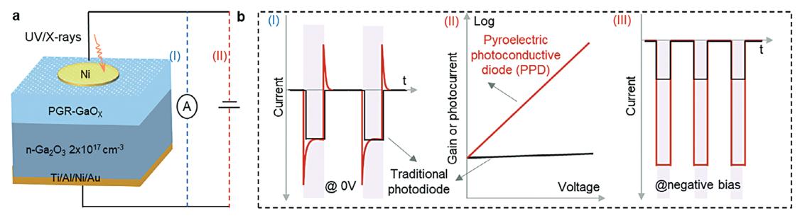 Schematic of the PPD based on PGR-GaOX film and its photoresponse compared to traditional photodiode